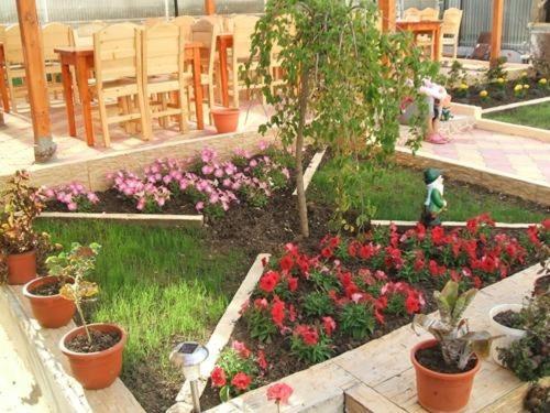 Отель Vila Casa Maria Костинешти Экстерьер фото